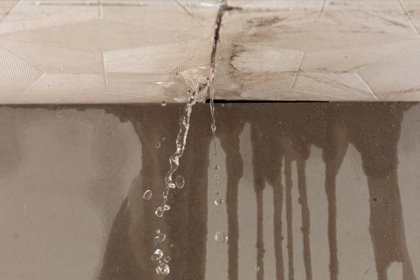 Professional Burst Pipe Cleanup technician working in Washburn, TN